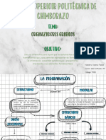 Organizadores Graficos