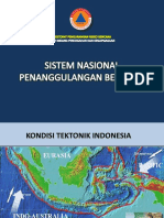 Bnpb - Sistem Nasional Penanggulangan Bencana Direktorat Pengurangan Risiko Bencana Bnpb 2010