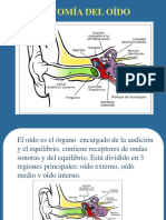 Anatomiadeloidoexternoymedio 130202100046 Phpapp02