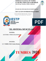 Trabajo de Sistema Muscular