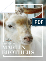 1617851221-Prospektus Marlin Brothers Indonesia