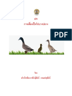 1คู่มือการเลี้ยงเป็ดไข่บางปะกงdocx 2