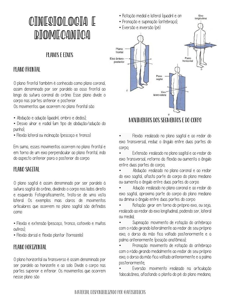 cadeia posterior - Cinesiologia