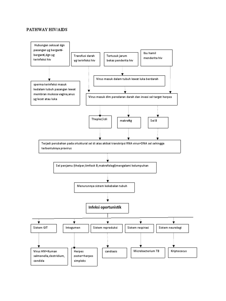 Pathway Hiv | PDF