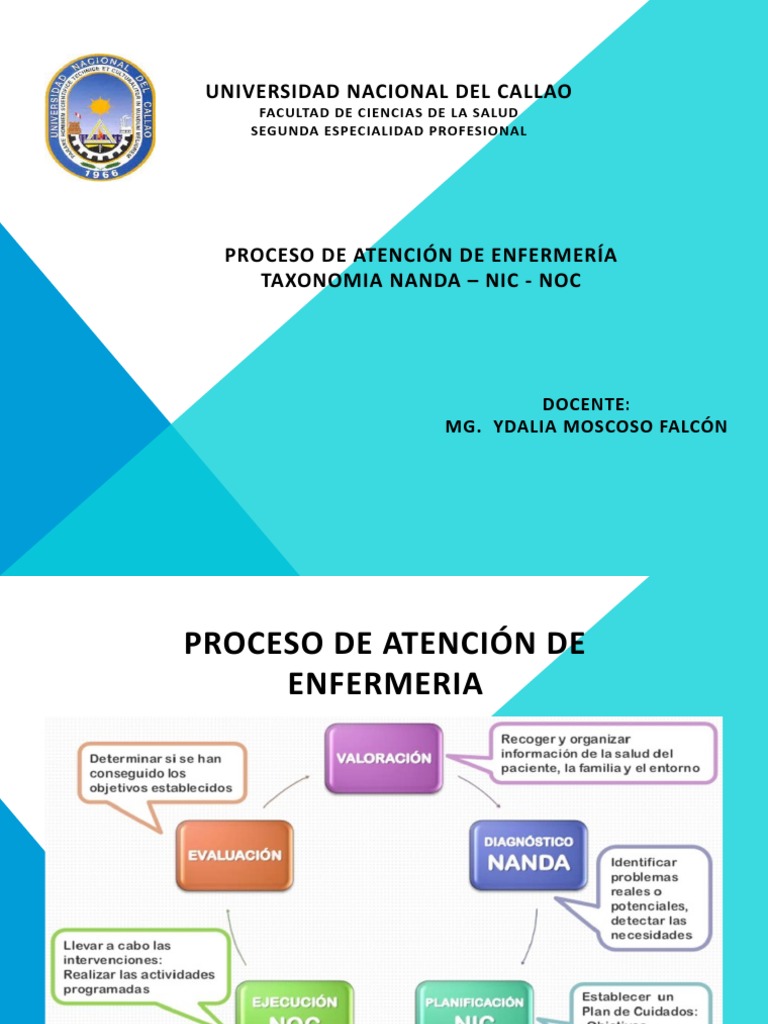 Taxonomia Nanda Nic Noc PDF Termorregulación Náusea
