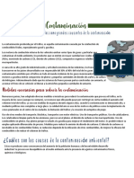 Contaminación Del Medio Ambiente