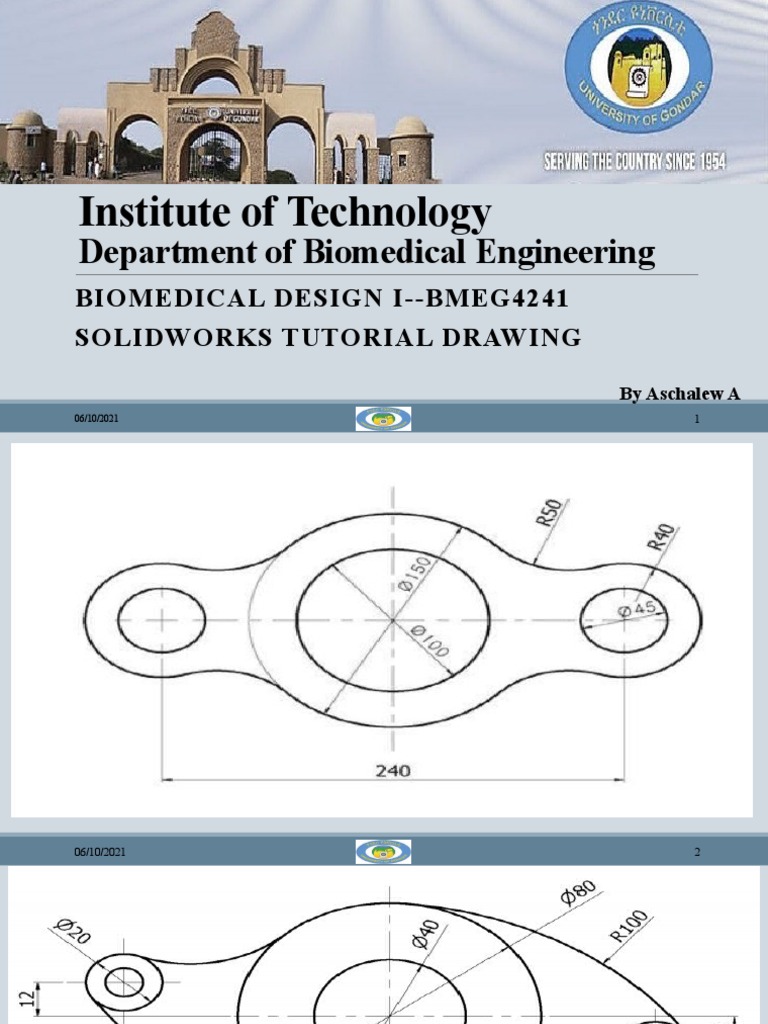 Institute of Technology: Department of Biomedical Engineering | PDF