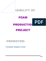 Feasibility Of: Foam Production Project