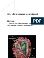 Virus y Enfermedades Que Producen 2