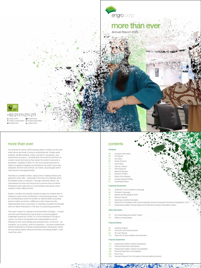 E Corp Annual Report 2020 1 PDF Pakistan Financial Statement