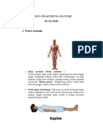 Modul Praktikum Anatomi BMS