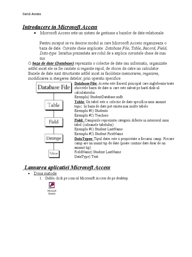 Introducere in Microsoft Access | PDF