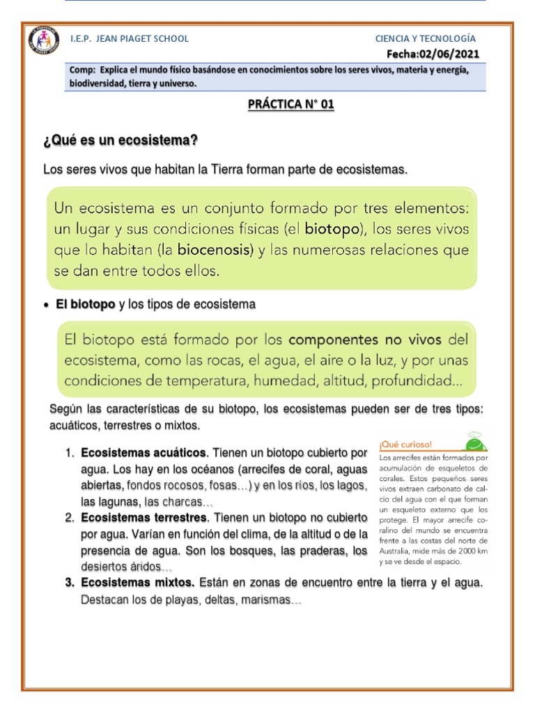 Estructura y Tipos de Ecosistemas | PDF | Ecosistema | Tierra