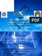 Nam (Non Aligned Movement)