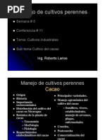 Download CULTIVO DE CACAO by Nick Alejandro Lpez SN51129322 doc pdf