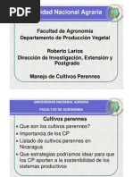 CERTIFICADO-DE-HONORABILIDAD