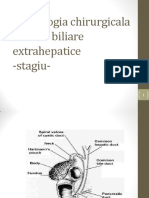 Cai Biliare Extrahepatice.