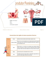 Características dos órgãos do sistema reprodutor feminino e masculino