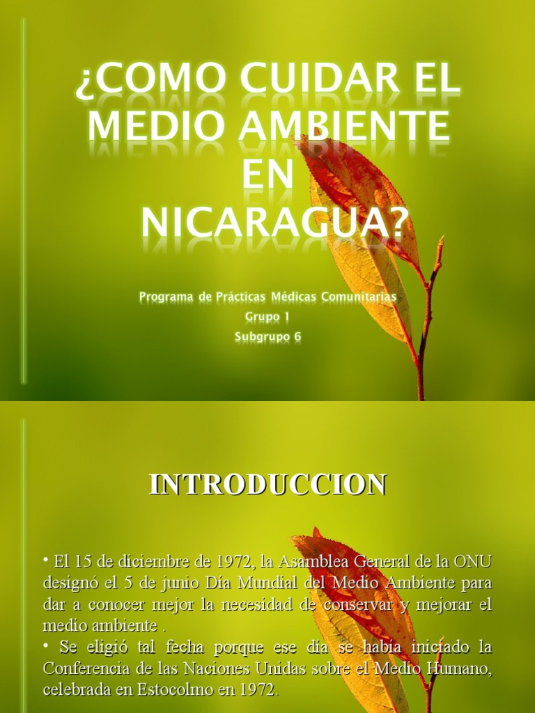 Como Cuidar El Medio Ambiente Para Exponer