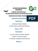 Microecosistema Terrario Eq3 2AM2 Corregido