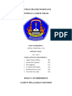 Laporan Praktikum Budidaya Jamur Tiram