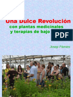 Una Dulce Revolucion Plantas Medicinales