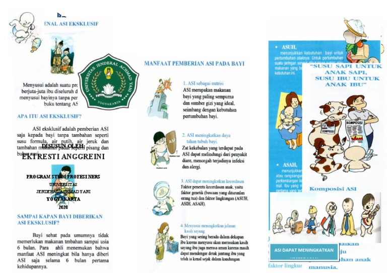 Leaflet Asi | PDF