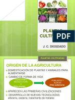 plantascultivadas-origenclasificacion-160124171421