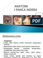 Sistem Panca Indra