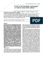 Physical Map Drosophila Melanogaster Divisions: Towards A of The Genomic