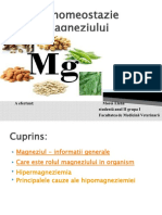 Dishomeostazie Magneziului