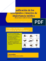 Clase 1 Artrópodos y Otros Insectos de Importancia Médicap