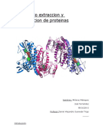 Informe Cuantificacion de Proteinas