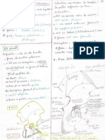 2. Membre Inférieur (Pr HAMMOUDI)