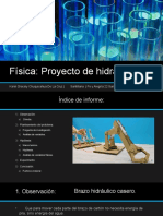 Física Experimento de Hidráulica.