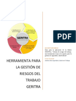 Guía Del Usuario Matriz Geritra Manual