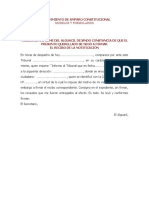 Modelo de Informe Del Alguacil Dejando Constancia Due El