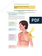 Ciencias - Cómo Se Organiza Nuestro Cuerpo