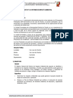 FORMATO N° 24 Informe de Impacto AmbientalL