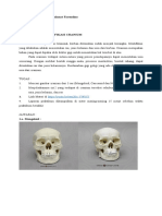 Syahnas Rahmat Farendino 18-046 Identifikasi Cranium