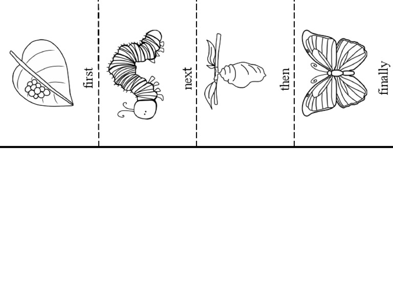 Caterpillar Life Cycle Foldable PDF