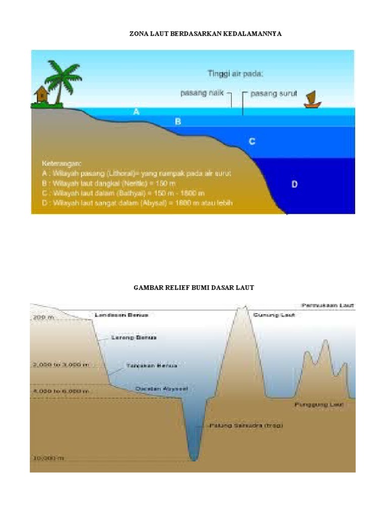 Zona Laut Berdasarkan Kedalamannya | PDF