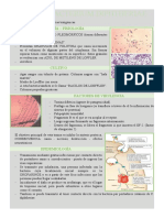 Corynebacterium Diphtheriae