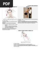 Biering-Sorensen Test Overview | PDF | Human Leg