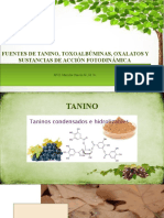 Clase No. 3 Taninos, Toxoalbúminas, Oxalatos, Sustancias de Acción Fotodinámica