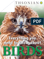 Everything You Need To Know About Birds