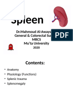 Spleen