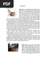 Download unggas by Rizkia Dara Febrina SN51141269 doc pdf