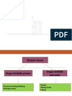 P. 2 & 3. Sistem-Imun