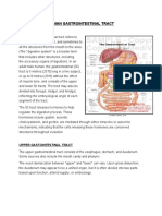 Human Gastrointestinal Tract